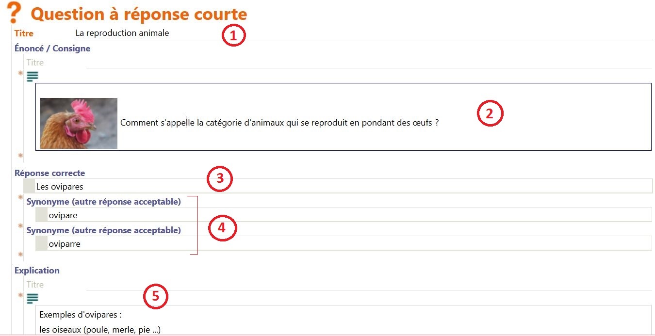 Détails sur la construction de chacun des exercices